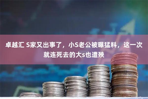 卓越汇 S家又出事了,小S老公被曝猛料,这一次就连死去的大s也遭殃